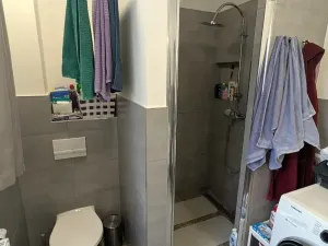 Pronájem bytu 4+kk, Duchcov, Jungmannova, 103 m2