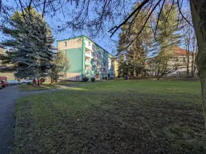 Pronájem bytu 1+kk, Sokolov, Mičurinova, 21 m2