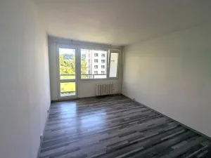 Pronájem bytu 2+1, Ústí nad Labem, Opletalova, 58 m2