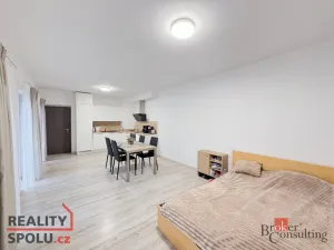 Prodej bytu 2+kk, Plzeň, Sladová, 63 m2