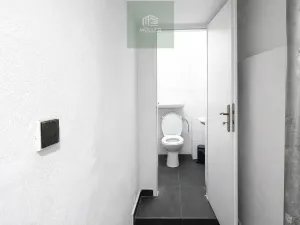 Pronájem - jiné, Plzeň, náměstí T. G. Masaryka, 40 m2