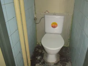 Prodej bytu 3+1, Kralovice - Trojany, 78 m2