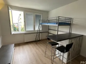 Pronájem bytu 1+kk, České Budějovice, Puklicova, 25 m2