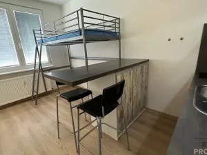 Pronájem bytu 1+kk, České Budějovice, Puklicova, 25 m2
