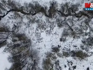 Prodej rybníku, Dolní Hořice - Pořín, 8552 m2