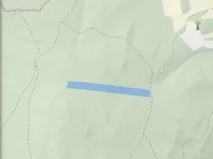 Prodej lesa, Městečko Trnávka - Lázy, 32904 m2