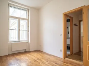 Pronájem bytu 2+kk, Brno - Brno-město, Panská, 70 m2