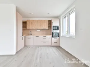 Pronájem bytu 2+kk, Dobřany, Dragounů, 66 m2