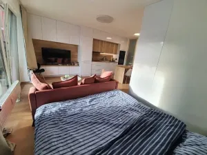 Pronájem bytu 1+kk, Jihlava, U Cihelny, 40 m2
