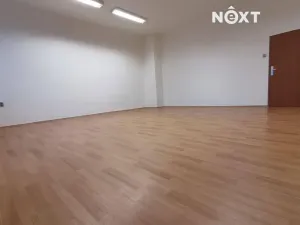 Pronájem kanceláře, České Budějovice, K. Světlé, 35 m2