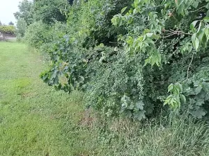 Prodej pozemku pro bydlení, Úpohlavy, 1074 m2