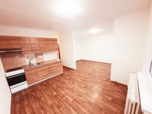 Pronájem bytu 2+kk, Litoměřice, Revoluční, 42 m2