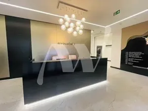 Pronájem kanceláře, Praha - Staré Město, Revoluční, 322 m2
