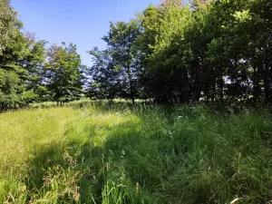 Prodej zahrady, Černovice - Panské Mlýny, 4180 m2