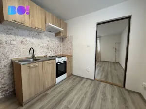 Pronájem bytu 1+1, Ropice, 40 m2