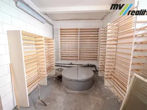 Prodej výrobních prostor, Hořice, Riegrova, 720 m2