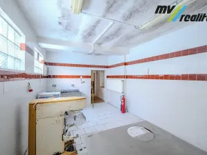 Prodej výrobních prostor, Hořice, Riegrova, 720 m2