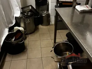 Prodej restaurace, Stěbořice - Nový Dvůr, 1221 m2