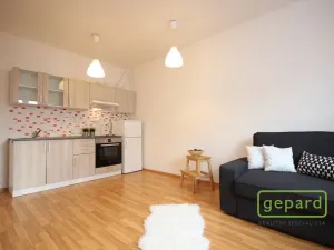 Pronájem bytu 1+kk, Brno - Žebětín, Říčanská, 30 m2