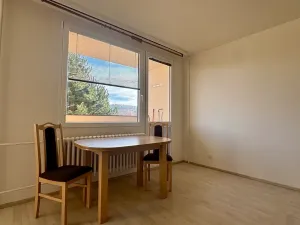 Pronájem bytu 1+kk, Příbram, Nádražní, 30 m2