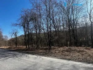 Prodej pozemku pro bydlení, Budišov nad Budišovkou - Guntramovice, 556 m2