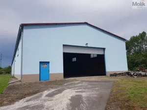 Pronájem skladu, Ústí nad Labem - Předlice, Za Viaduktem, 440 m2