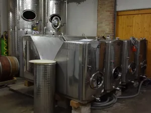 Prodej rodinného domu, Moravská Nová Ves, Pod Kostelem, 108 m2