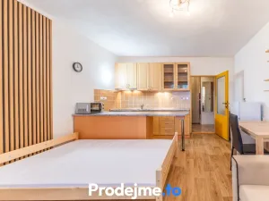 Pronájem bytu 1+kk, Dobšice, V Zahradách, 29 m2