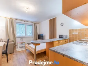 Pronájem bytu 1+kk, Dobšice, V Zahradách, 29 m2