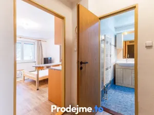 Pronájem bytu 1+kk, Dobšice, V Zahradách, 29 m2