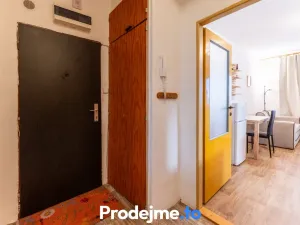 Pronájem bytu 1+kk, Dobšice, V Zahradách, 29 m2