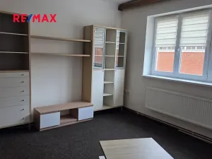 Pronájem bytu 2+1, Brno, Náplavka, 53 m2