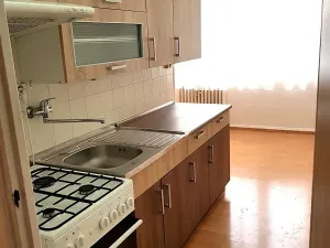 Pronájem bytu 1+1, České Budějovice, Plzeňská, 47 m2