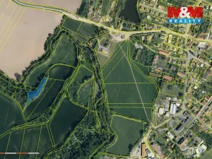 Prodej lesa, Ronov nad Doubravou, 2904 m2