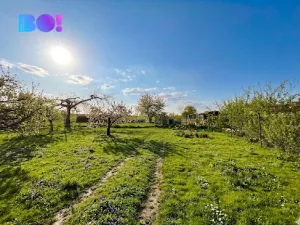 Prodej rodinného domu, Zbraslav, Malinovského, 350 m2