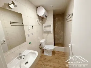 Pronájem bytu 1+1, Kutná Hora, Orelská, 21 m2