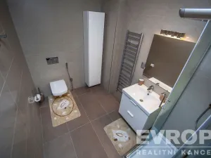 Pronájem bytu 2+kk, Praha - Podolí, Nedvědovo náměstí, 105 m2