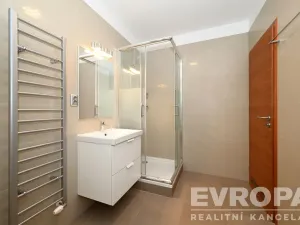 Pronájem bytu 2+kk, Praha - Podolí, Nedvědovo náměstí, 105 m2