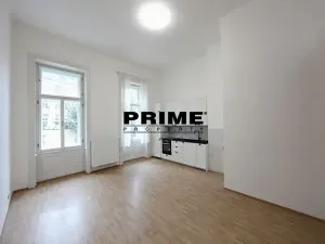 Pronájem bytu 2+1, Praha - Nové Město, Záhořanského, 124 m2