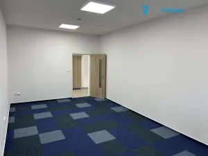 Pronájem kanceláře, Sedliště, 553 m2