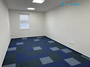 Pronájem kanceláře, Sedliště, 553 m2