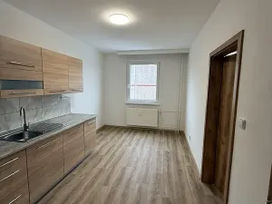 Pronájem bytu 4+1, Liberec, Dobiášova, 104 m2