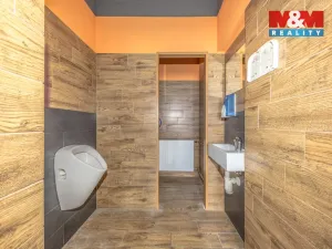 Pronájem rodinného domu, Tanvald - Šumburk nad Desnou, Krkonošská, 220 m2