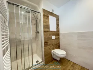 Pronájem bytu 1+1, Strakonice - Strakonice I, P. Bezruče, 46 m2