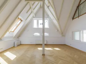 Pronájem bytu 5+1, Praha - Malá Strana, Újezd, 286 m2