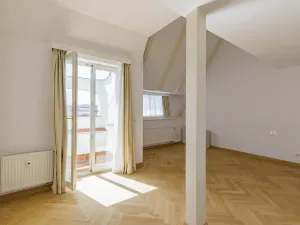 Pronájem bytu 5+1, Praha - Malá Strana, Újezd, 286 m2