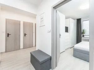 Prodej bytu 2+1, Hradec Králové - Pražské Předměstí, U Koruny, 60 m2