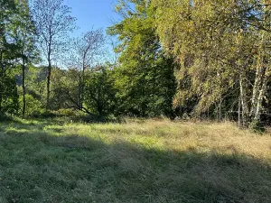 Prodej rodinného domu, Pertoltice pod Ralskem, 800 m2