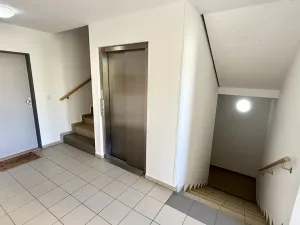 Pronájem bytu 2+kk, Jihlava, Vrchlického, 61 m2