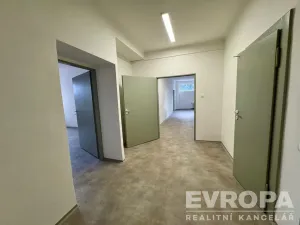 Pronájem bytu 5+kk, Přeštice, Jungmannova, 188 m2